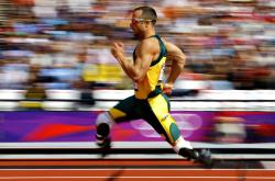  文豪野犬角色表 